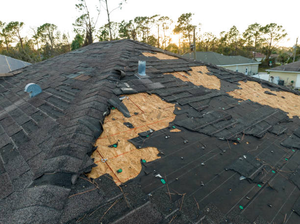 Best Storm Damage Roof Repair  in Burlington, WA